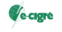 Test E-Cigre